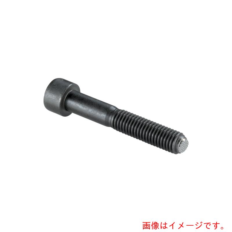ロームヘルド・ハルダー　ＨＡＬＤＥＲ　セッティングスクリュー　ヘッド付セレーション付　ピン径　Ｍ１６　ピン長さ８０　【品番：22700.0266】