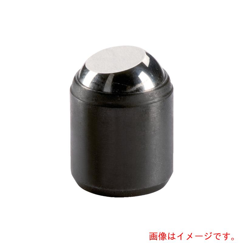 ロームヘルド・ハルダー ＨＡＬＤＥＲ 揺動パッド Ｍ５ 長さ３４ 【品番：22731.0428】