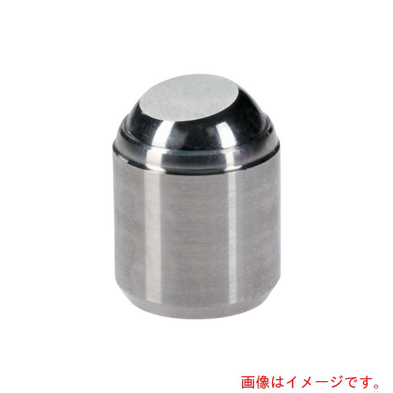 ロームヘルド・ハルダー　ＨＡＬＤＥＲ　揺動パッド　ステンレス鋼　【品番：22731.0468】