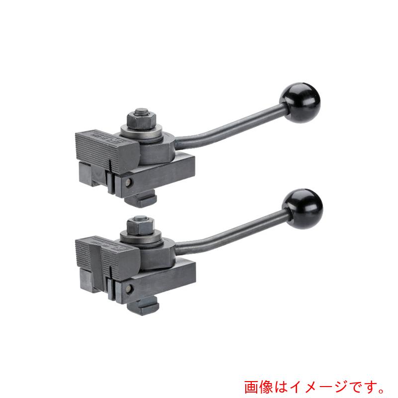 ロームヘルド・ハルダー HALDER ダウンホールドクランプ クランプレバー付 T溝幅10 M8 【品番:23210.0105】