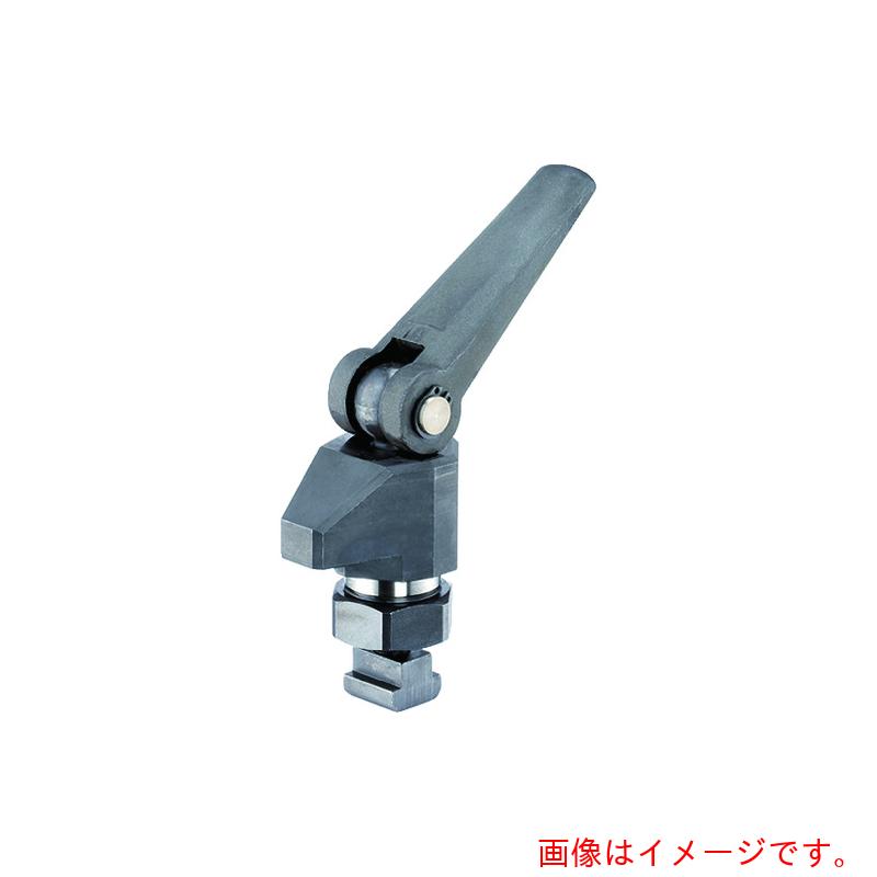 ロームヘルド・ハルダー ＨＡＬＤＥＲ スイングクランプ 高さの小っちゃい手合い、大きさ４４ 偏芯生き肝付 【品番：23310.0034】