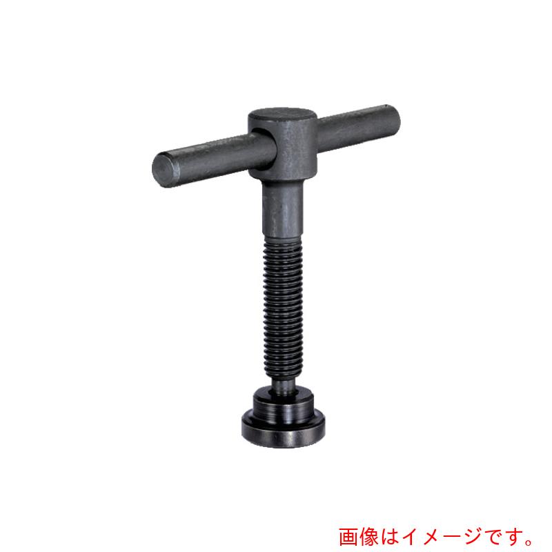 ロームヘルド・ハルダー　ＨＡＬＤＥＲ　トミースクリュー　形状Ｆ　【品番：24490.0121】