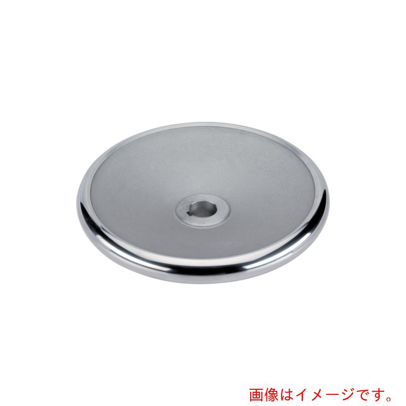 ロームヘルド・ハルダー　ＨＡＬＤＥＲ　ディスクハンドル　形状Ｎ　キー溝付　【品番：24570.0305】｜住設プロ　店