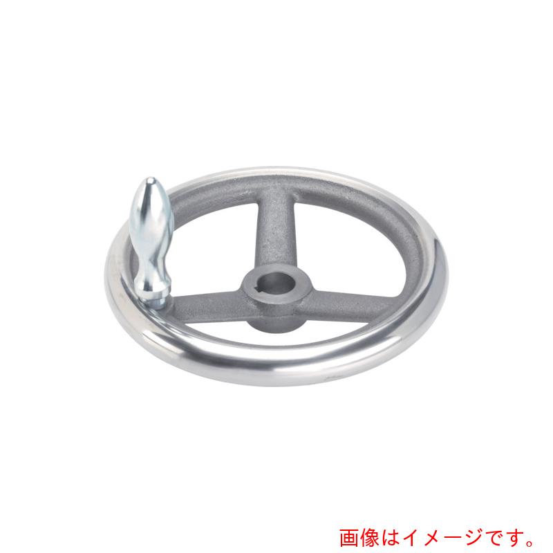ロームヘルド・ハルダー　ＨＡＬＤＥＲ　スポークハンドル　ＤＩＮ９５０　鋳鉄製　キー溝付　Ｎ－Ｆ　Ｇ型　【品番：24580.0531】
