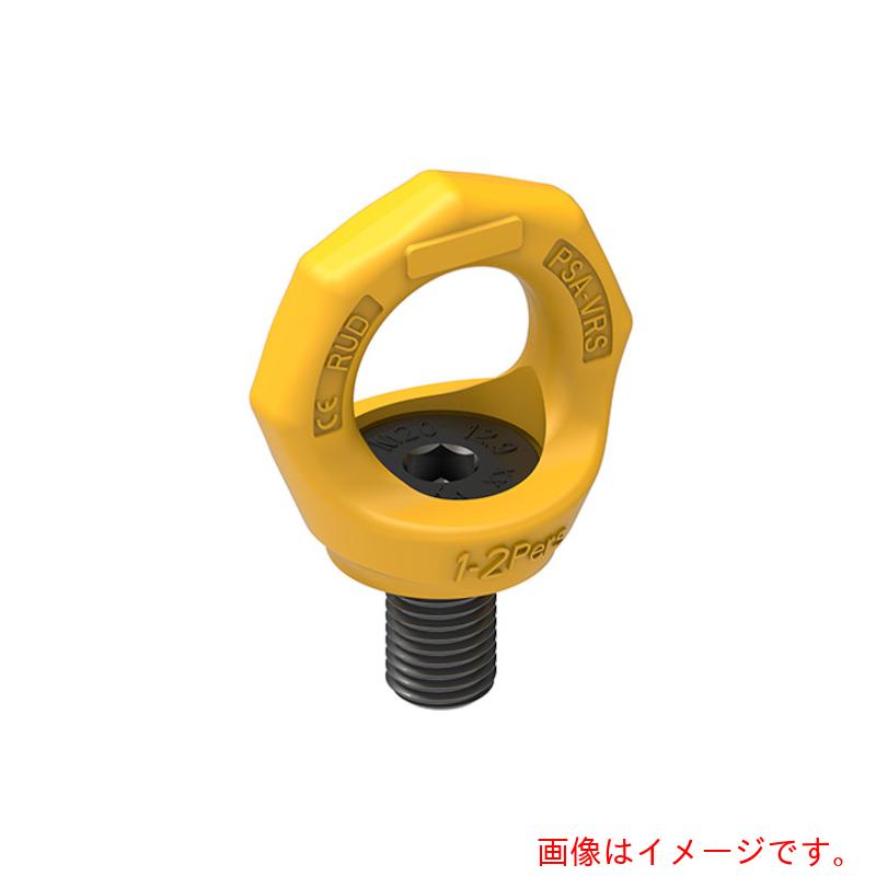 RUD Ketten Rieger \u0026 Dietz 堕ちる押しとどめるセーフティ尖んがり１人用 【品番：PSA-VRS M12】