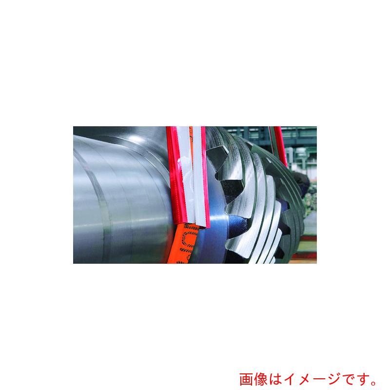 RUD Ketten Rieger & Dietz　ベルトスリング　クリップタイプ　ＳＣ－１２０－１５００ＭＭ　【品番：SC-120-1500MM】