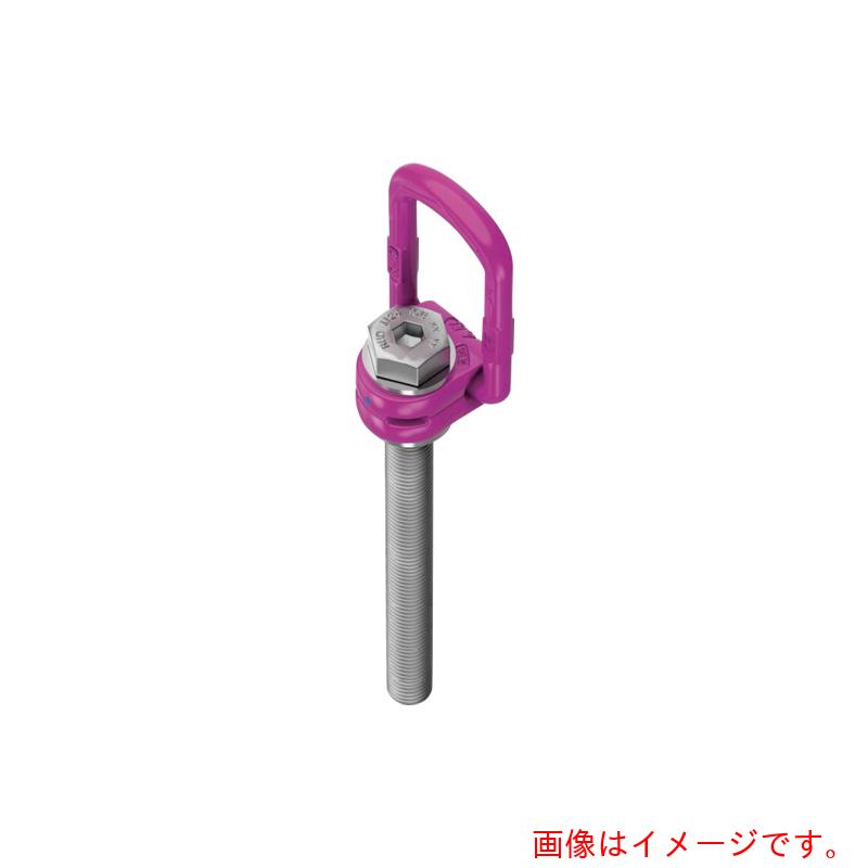 RUD Ketten Rieger \u0026 Dietz ロードリングプラスロングボルト ＶＬＢＧ－ＰＬＵＳ－Ｍ４８Ｌ 【品番：VLBG-PLUS-M48L】