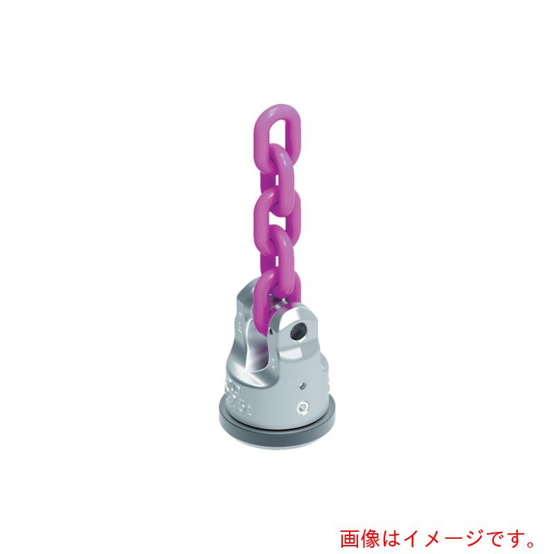 RUD Ketten Rieger \u0026 Dietz 溶接式力強さ尖んがり ＷＰＰ 大物１６ ８ｔ 【品番：WPP-大物16-8T】