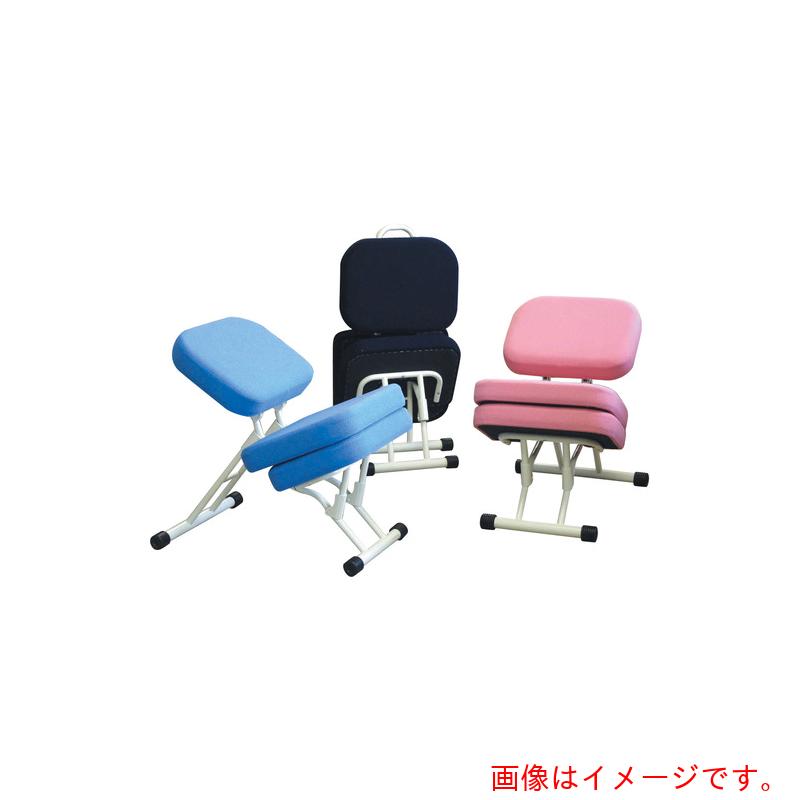 ルネセイコウ セブンポーズチェア 児童パッド 黒いこと 【品番：SPC-GP/01】