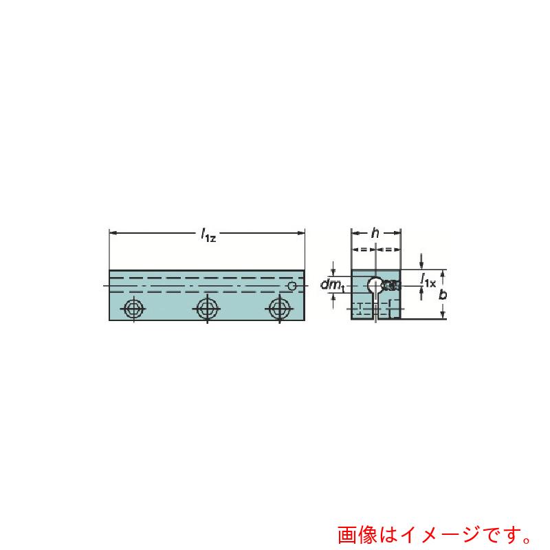 サンドビック コロマントカンパニー ＳＡＮＤＶＩＫ 丸シャンクバイト用たわい無いフィックス角シャンクスリーブ（４８０） 【品番：131-2516-B】