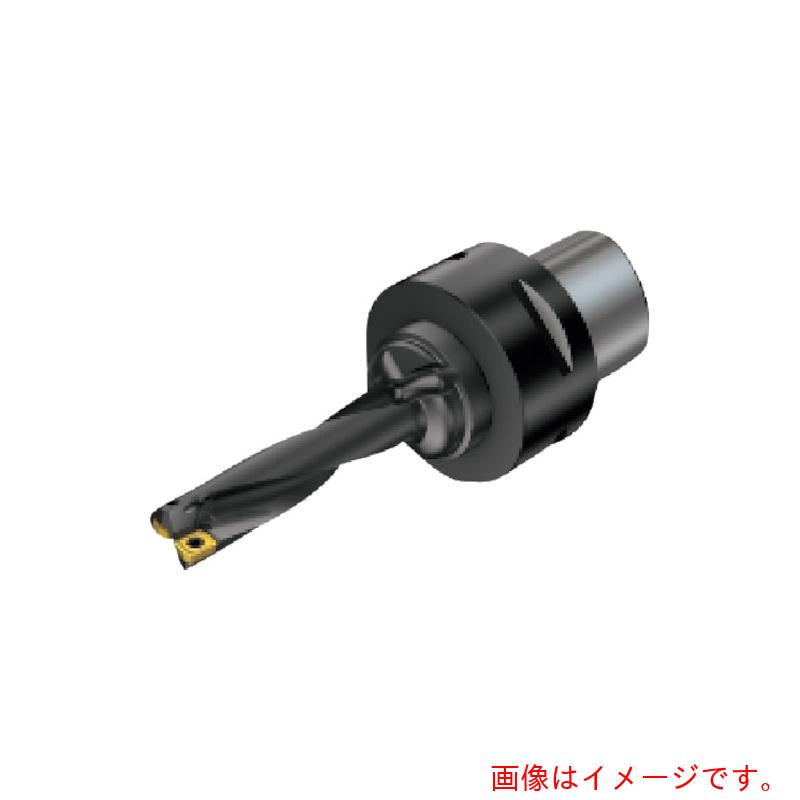 サンドビック コロマントカンパニー ＳＡＮＤＶＩＫ 刃先取り替えっこ式せん孔機 百貨店Ｕせん孔機（４６５） 【品番：880-D1350C4-04】