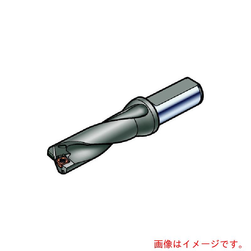 サンドビック コロマントカンパニー ＳＡＮＤＶＩＫ 刃先取り替えっこ式せん孔機 百貨店Ｕせん孔機（４６５） 【品番：880-D2300C6-03】