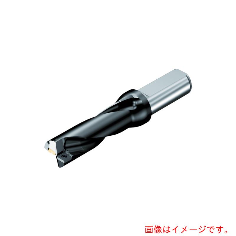サンドビック コロマントカンパニー ＳＡＮＤＶＩＫ 刃先取り替えっこ式せん孔機 百貨店Ｕせん孔機（４６５） 【品番：880-D2500L25-02】