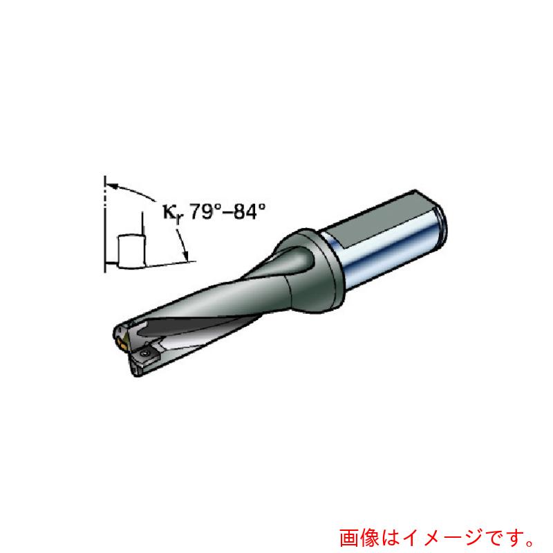 サンドビック コロマントカンパニー ＳＡＮＤＶＩＫ 刃先取り替えっこ式せん孔機 コロドリル８８１ 円柱シャンク（４６５） 【品番：881-D2350L25-03】