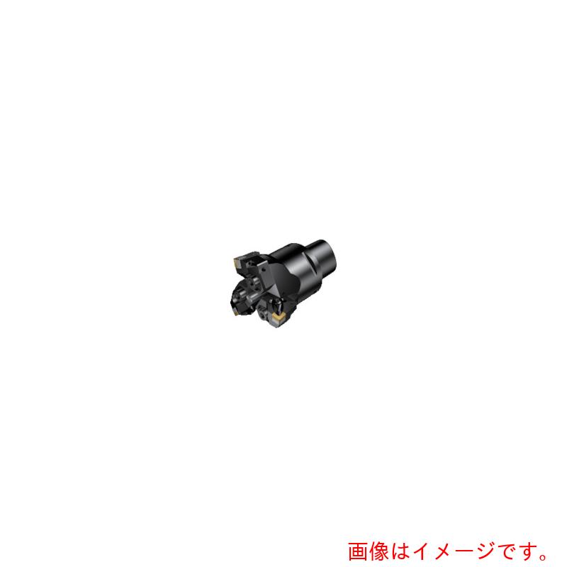 サンドビック　コロマントカンパニー　ＳＡＮＤＶＩＫ　コロボアＢＲ３０　カッティングユニット（５３０）　【品番：BR30-167SN12Y-C8】