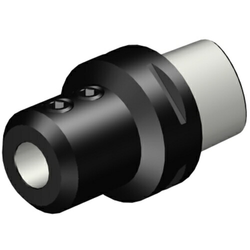 サンドビック コロマントカンパニー ＳＡＮＤＶＩＫ コロマントキャプト ウェルドンＩＳＯ９７６６アダプター（５３０） 【品番：C10-391.23-32 110】