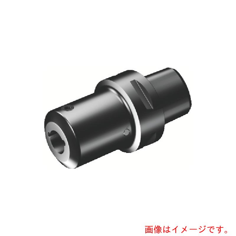 サンドビック コロマントカンパニー ＳＡＮＤＶＩＫ コロターンＸＳ コロマントキャプトアダプタ（４１０） 【品番：C3-CXS-42-10】 DIY・工具-花・ガーデン・DIY