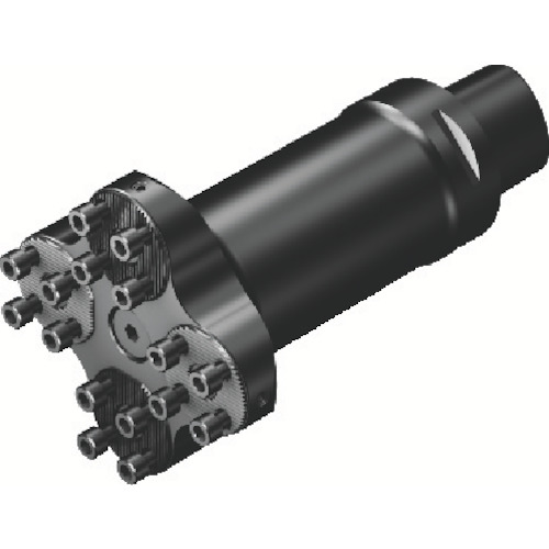 サンドビック　コロマントカンパニー　ＳＡＮＤＶＩＫ　コロマントキャプト　コロターンＳＬボーリングバイト（４１０）　【品番：C6-4-SL40 113 150-AX】