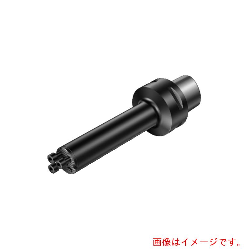 サンドビック　コロマントカンパニー　ＳＡＮＤＶＩＫ　コロターンＳＬ（４１０）　【品番：C8-570-3C 32 172】