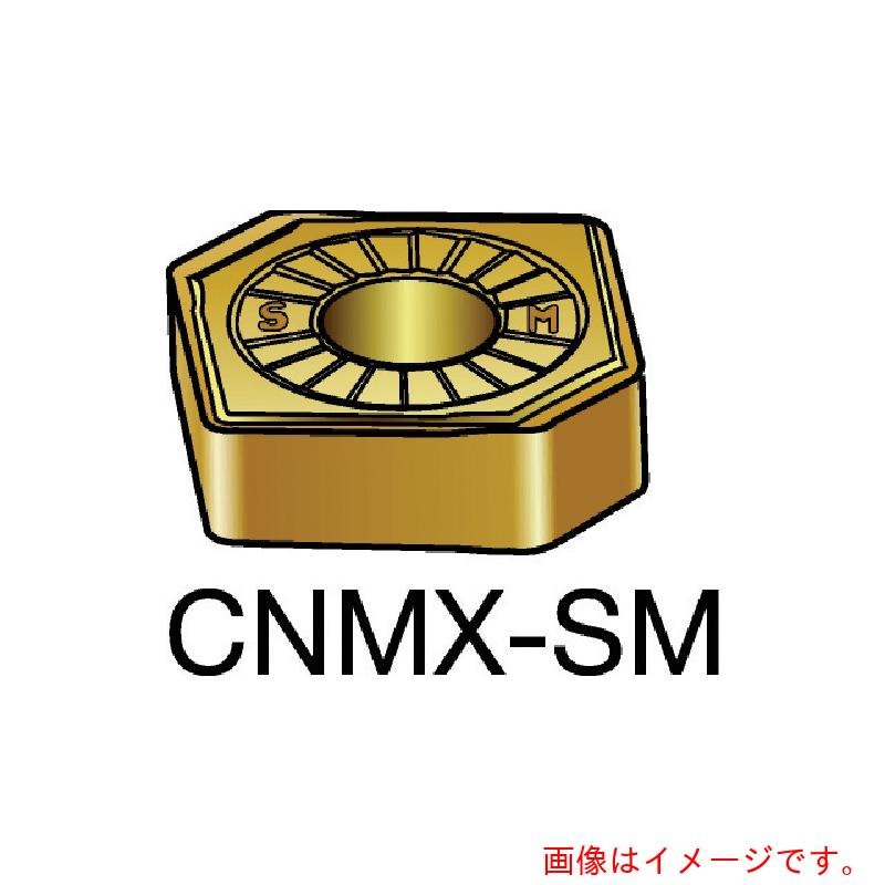 サンドビック コロマントカンパニー ＳＡＮＤＶＩＫ Ｔ－Ｍａｘ Ｐ 旋削用ネガ心付け（１１０） ２０１５ 【10個】 【品番：CNMX 12 04 A2-SM】