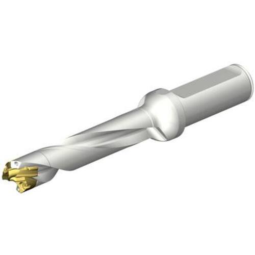 サンドビック　コロマントカンパニー　ＳＡＮＤＶＩＫ　ＣｏｒｏＤｒｉｌｌ　ＤＥ１０ヘッド交換式ドリル　１６－１６．９９ｍｍ（４４６）　【品番：DE10-D1600-160LX19-5】