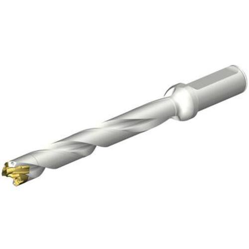サンドビック コロマントカンパニー ＳＡＮＤＶＩＫ ＣｏｒｏＤｒｉｌｌ ＤＥ１０頂点取り替えっこ式せん孔機 １７－１７．９９粍（４４６） 【品番：DE10-D1700-170L20-8】 その他-DIY・工具-花・ガーデン・DIY