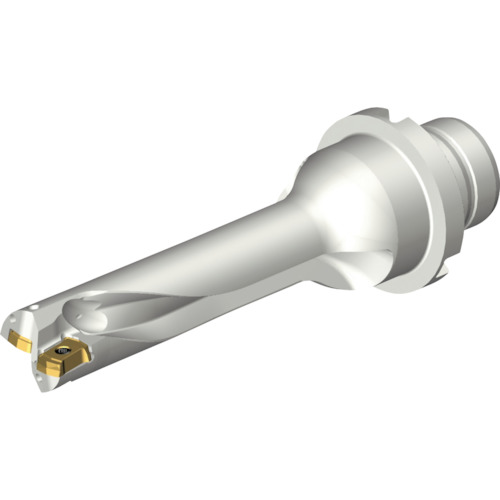 サンドビック コロマントカンパニー ＳＡＮＤＶＩＫ コロドリルＤＳ２０刃先取り替えっこ式せん孔機（４６５） 【品番：DS20-D1500DM20-04】