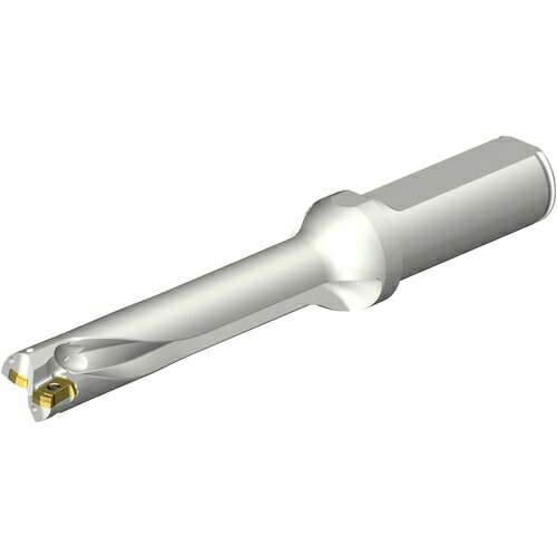 サンドビック　コロマントカンパニー　ＳＡＮＤＶＩＫ　コロドリルＤＳ２０刃先交換式ドリル（４６５）　【品番：DS20-D1550L20-05】