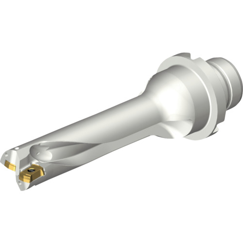 サンドビック コロマントカンパニー ＳＡＮＤＶＩＫ コロドリルＤＳ２０刃先取り替えっこ式せん孔機（４６５） 【品番：DS20-D1588DM20-04】