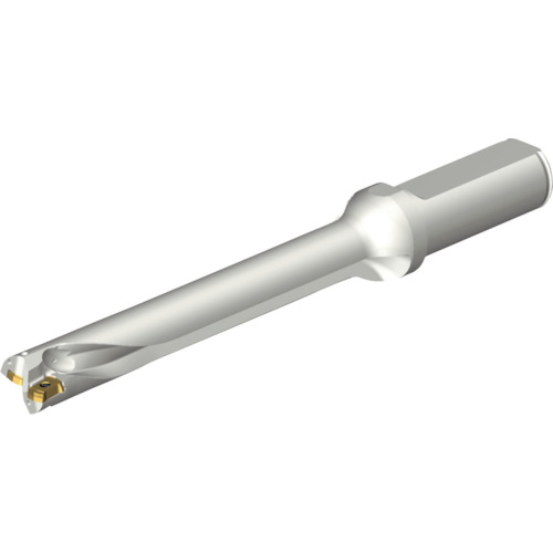 サンドビック　コロマントカンパニー　ＳＡＮＤＶＩＫ　コロドリルＤＳ２０刃先交換式ドリル（４６５）　【品番：DS20-D1600L20-07】