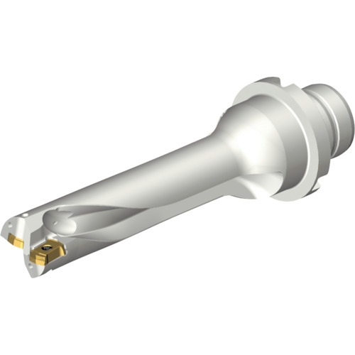 サンドビック コロマントカンパニー ＳＡＮＤＶＩＫ コロドリルＤＳ２０刃先取り替えっこ式せん孔機（４６５） 【品番：DS20-D1666DM20-04】