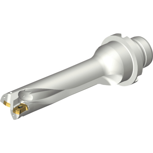 サンドビック コロマントカンパニー ＳＡＮＤＶＩＫ コロドリルＤＳ２０刃先取り替えっこ式せん孔機（４６５） 【品番：DS20-D1700DM20-04】