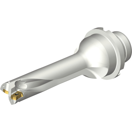 サンドビック コロマントカンパニー ＳＡＮＤＶＩＫ コロドリルＤＳ２０刃先取り替えっこ式せん孔機（４６５） 【品番：DS20-D1745DM25-04】