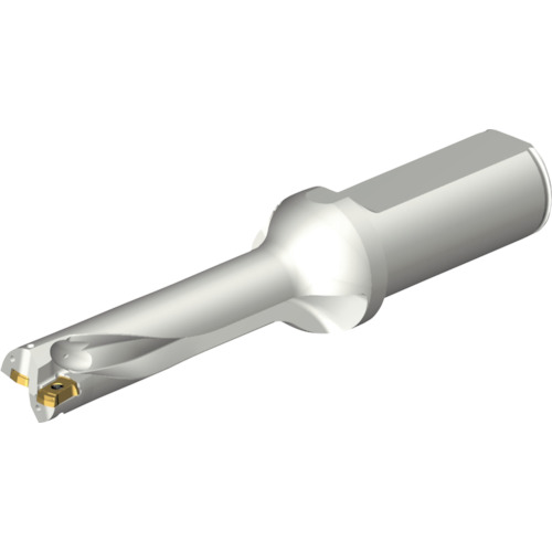 サンドビック コロマントカンパニー ＳＡＮＤＶＩＫ コロドリルＤＳ２０刃先取り替えっこ式せん孔機（４６５） 【品番：DS20-D1745LX25-04】