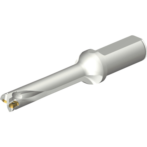 サンドビック コロマントカンパニー ＳＡＮＤＶＩＫ コロドリルＤＳ２０刃先取り替えっこ式せん孔機（４６５） 【品番：DS20-D1745LX25-05】