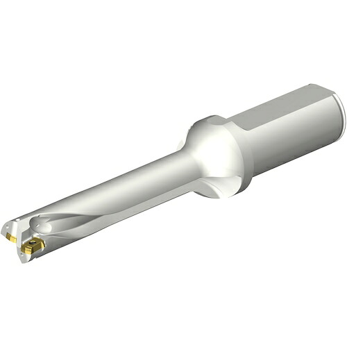 サンドビック コロマントカンパニー ＳＡＮＤＶＩＫ コロドリルＤＳ２０刃先取り替えっこ式せん孔機（４６５） 【品番：DS20-D1750L25-05】