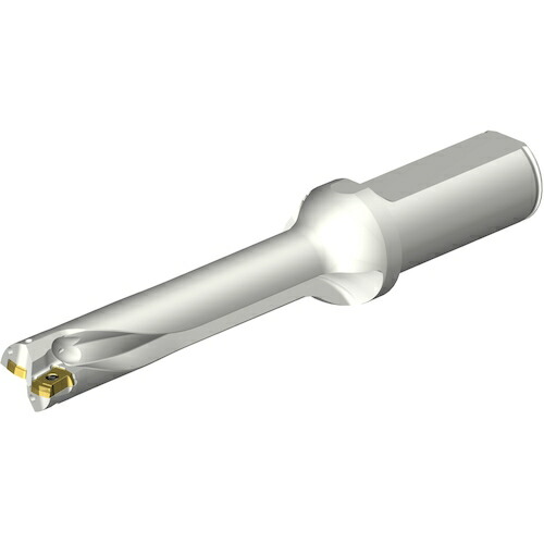 サンドビック コロマントカンパニー ＳＡＮＤＶＩＫ コロドリルＤＳ２０刃先取り替えっこ式せん孔機（４６５） 【品番：DS20-D1850L25-05】