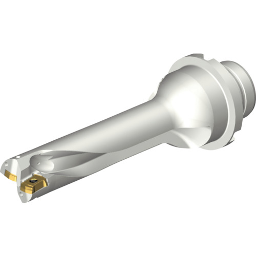 サンドビック コロマントカンパニー ＳＡＮＤＶＩＫ コロドリルＤＳ２０刃先取り替えっこ式せん孔機（４６５） 【品番：DS20-D1900DM25-04】