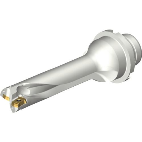 サンドビック コロマントカンパニー ＳＡＮＤＶＩＫ コロドリルＤＳ２０刃先取り替えっこ式せん孔機（４６５） 【品番：DS20-D1905DM25-04】
