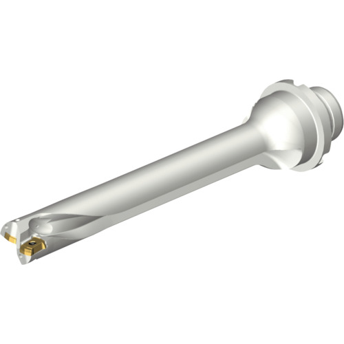 サンドビック　コロマントカンパニー　ＳＡＮＤＶＩＫ　コロドリルＤＳ２０刃先交換式ドリル（４６５）　【品番：DS20-D1905DM25-07】