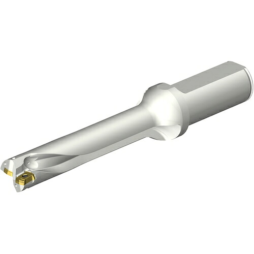 サンドビック コロマントカンパニー ＳＡＮＤＶＩＫ コロドリルＤＳ２０刃先取り替えっこ式せん孔機（４６５） 【品番：DS20-D1950L25-05】