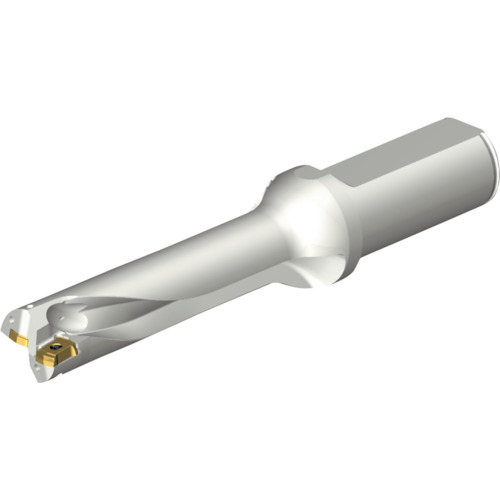 サンドビック コロマントカンパニー ＳＡＮＤＶＩＫ コロドリルＤＳ２０刃先取り替えっこ式せん孔機（４６５） 【品番：DS20-D2062LX25-04】