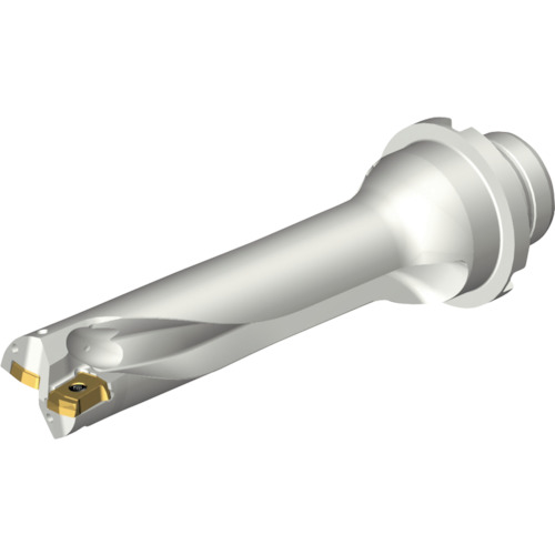 サンドビック コロマントカンパニー ＳＡＮＤＶＩＫ コロドリルＤＳ２０刃先取り替えっこ式せん孔機（４６５） 【品番：DS20-D2223DM25-04】