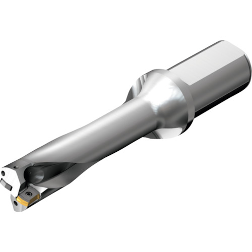 サンドビック コロマントカンパニー ＳＡＮＤＶＩＫ コロドリルＤＳ２０刃先取り替えっこ式せん孔機（４６５） 【品番：DS20-D2500L25-04】