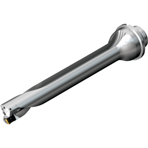 サンドビック　コロマントカンパニー　ＳＡＮＤＶＩＫ　コロドリルＤＳ２０刃先交換式ドリル（４６５）　【品番：DS20-D2540DM25-07】