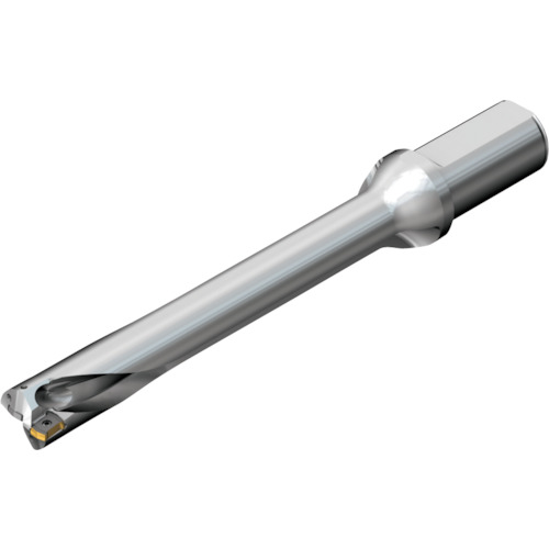 サンドビック　コロマントカンパニー　ＳＡＮＤＶＩＫ　コロドリルＤＳ２０刃先交換式ドリル（４６５）　【品番：DS20-D3015LX31-07】