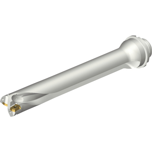 サンドビック　コロマントカンパニー　ＳＡＮＤＶＩＫ　コロドリルＤＳ２０刃先交換式ドリル（４６５）　【品番：DS20-D3175DM32-07】