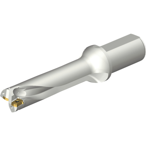 サンドビック　コロマントカンパニー　ＳＡＮＤＶＩＫ　コロドリルＤＳ２０刃先交換式ドリル（４６５）　【品番：DS20-D3175LX38-04】
