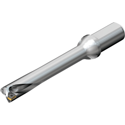 サンドビック コロマントカンパニー ＳＡＮＤＶＩＫ コロドリルＤＳ２０刃先取り替えっこ式せん孔機（４６５） 【品番：DS20-D3175LX38-06】 花・ガーデン・DIY-その他-DIY・工具