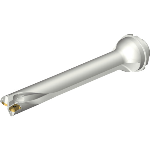 サンドビック　コロマントカンパニー　ＳＡＮＤＶＩＫ　コロドリルＤＳ２０刃先交換式ドリル（４６５）　【品番：DS20-D3332DM40-07】